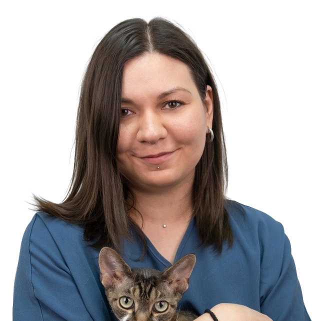 Скорик Алина Сергеевна